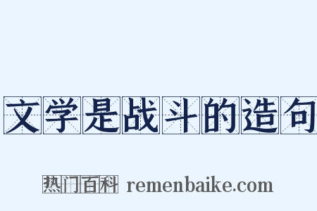 文学是战斗的造句是什么意思的图片